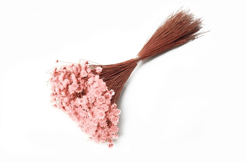 Glixia licht roze