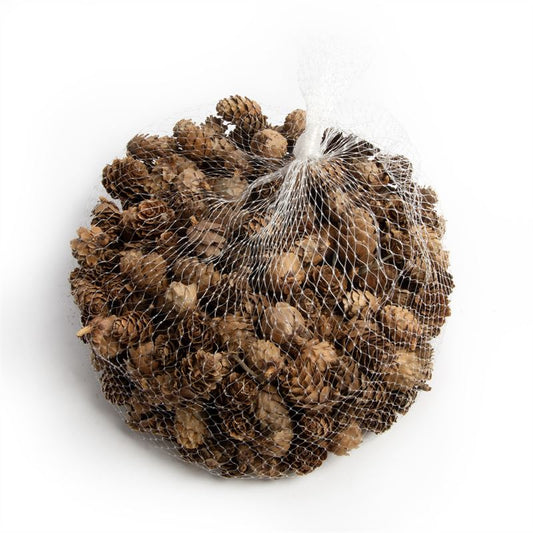 Mini dennenappels in netje naturel5