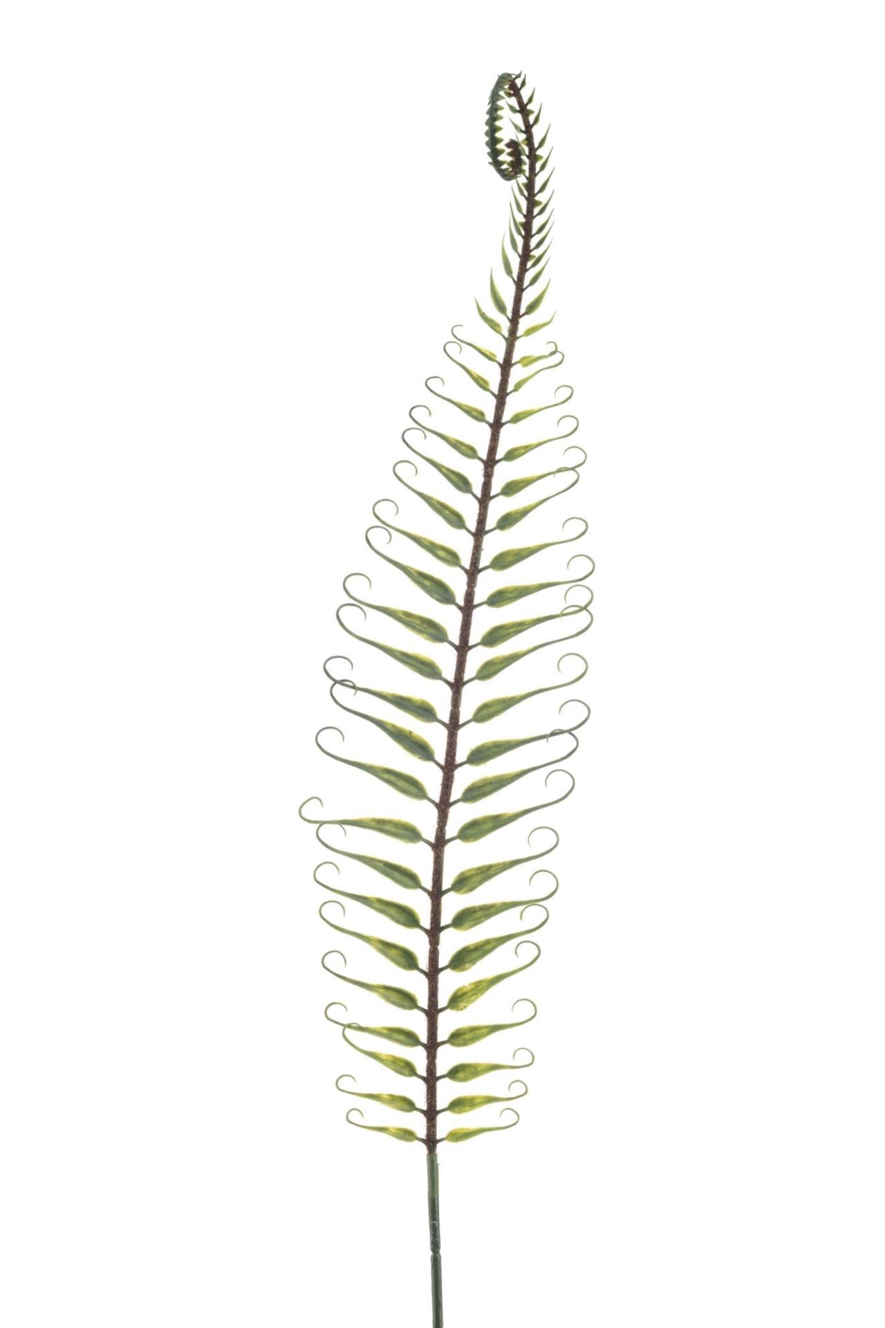 Fern spray green 92cm