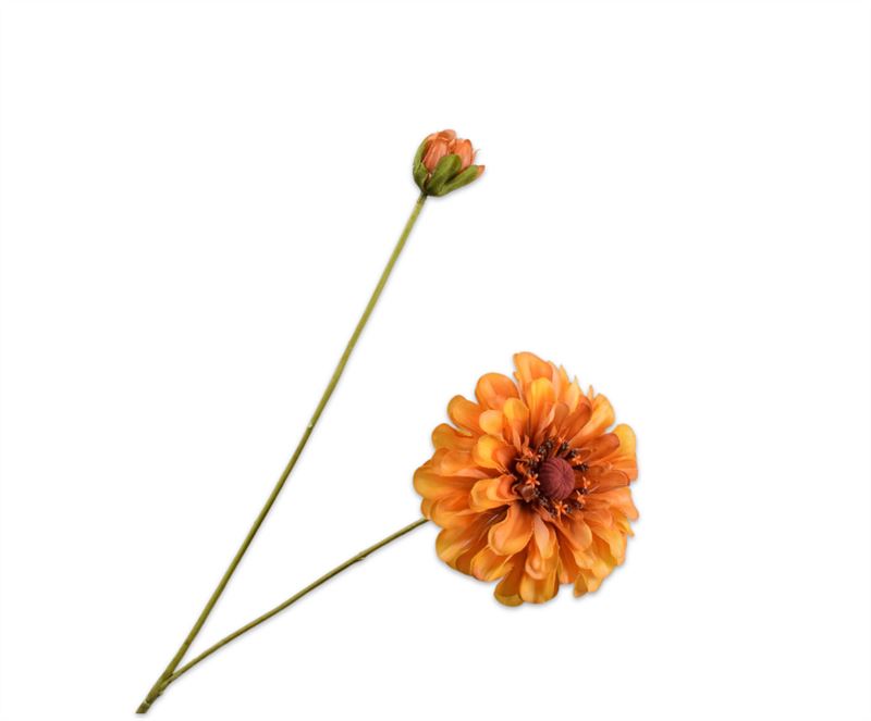zinnia tak geel rt 62cm