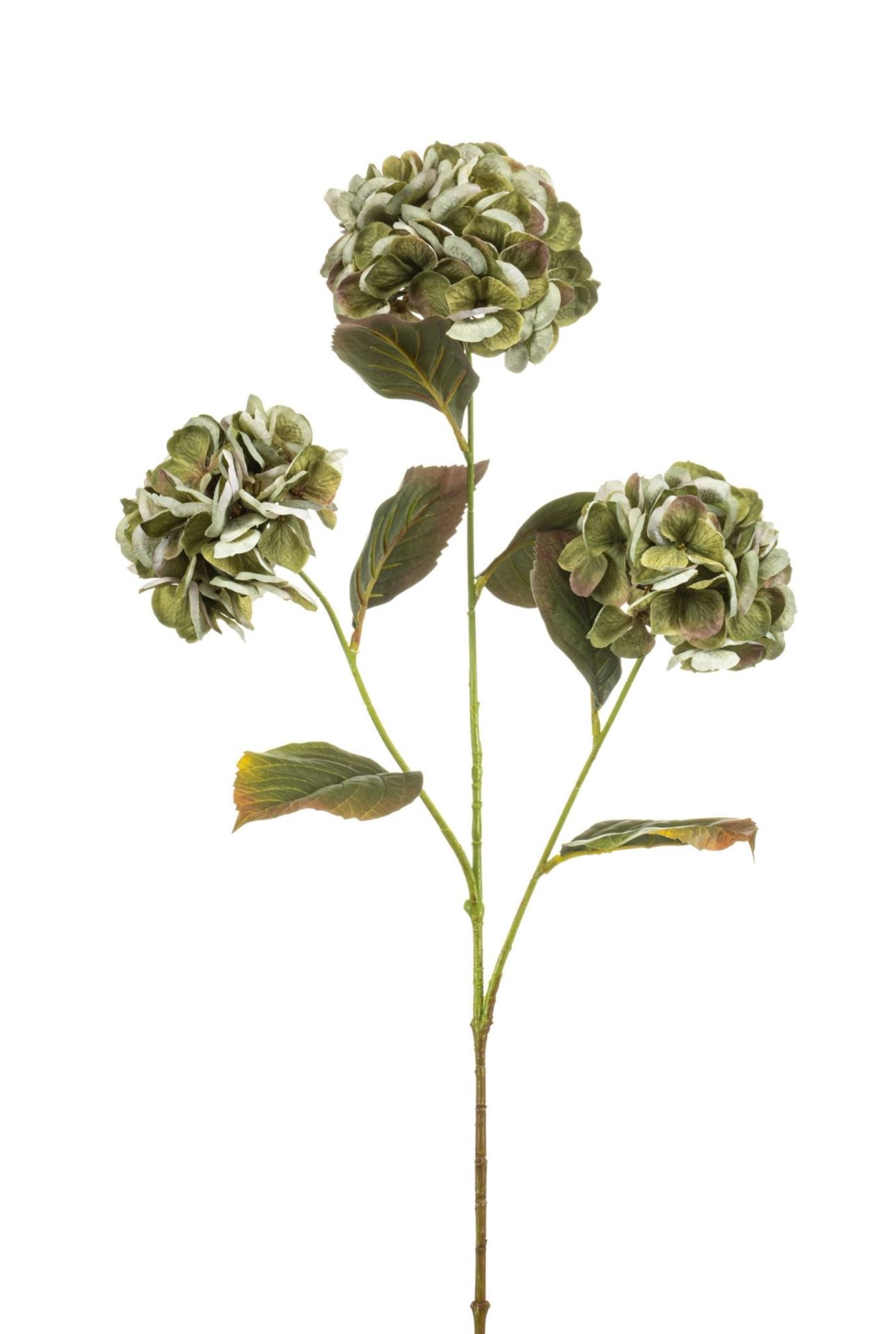 Hydrangea spray green 77cm