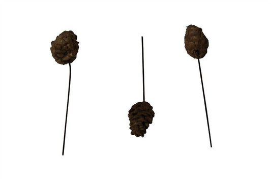 Larix o/dr. naturel125 st