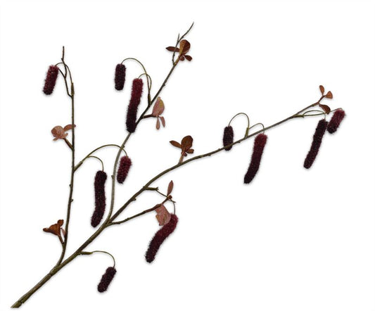 ALNUS TAK BORDEAUX  81 cm