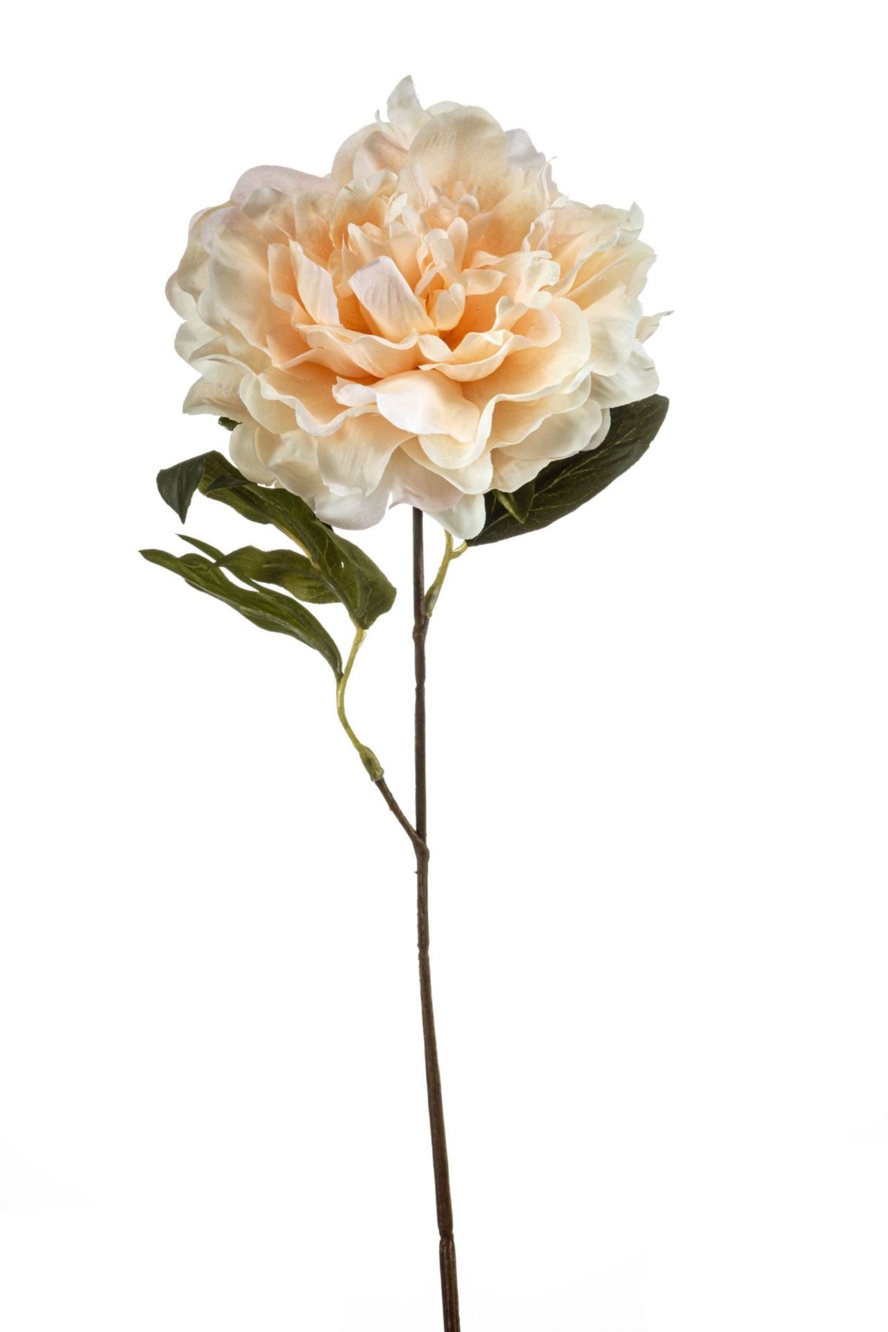 Peony spray beige 57cm