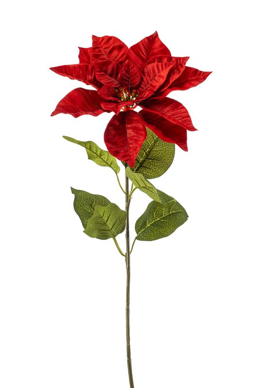 Poinsettia spray 65cm rood