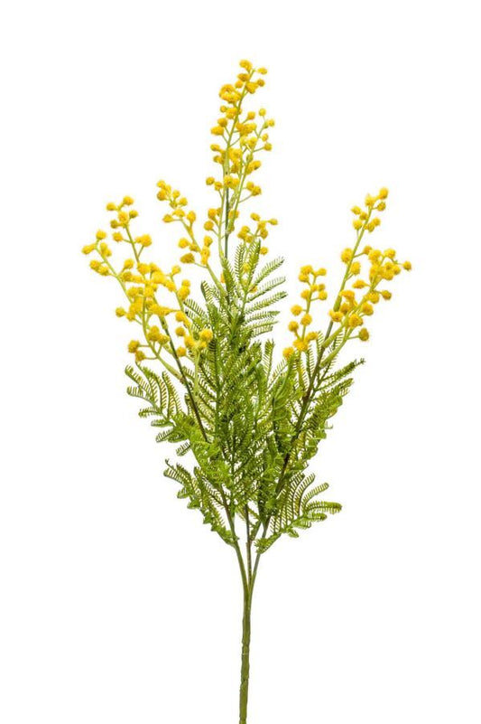 Mimosa spray yellow 68cm