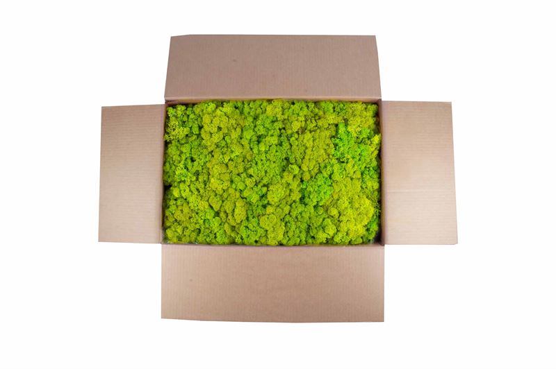 Ijslandsmos springgroen 5kg.