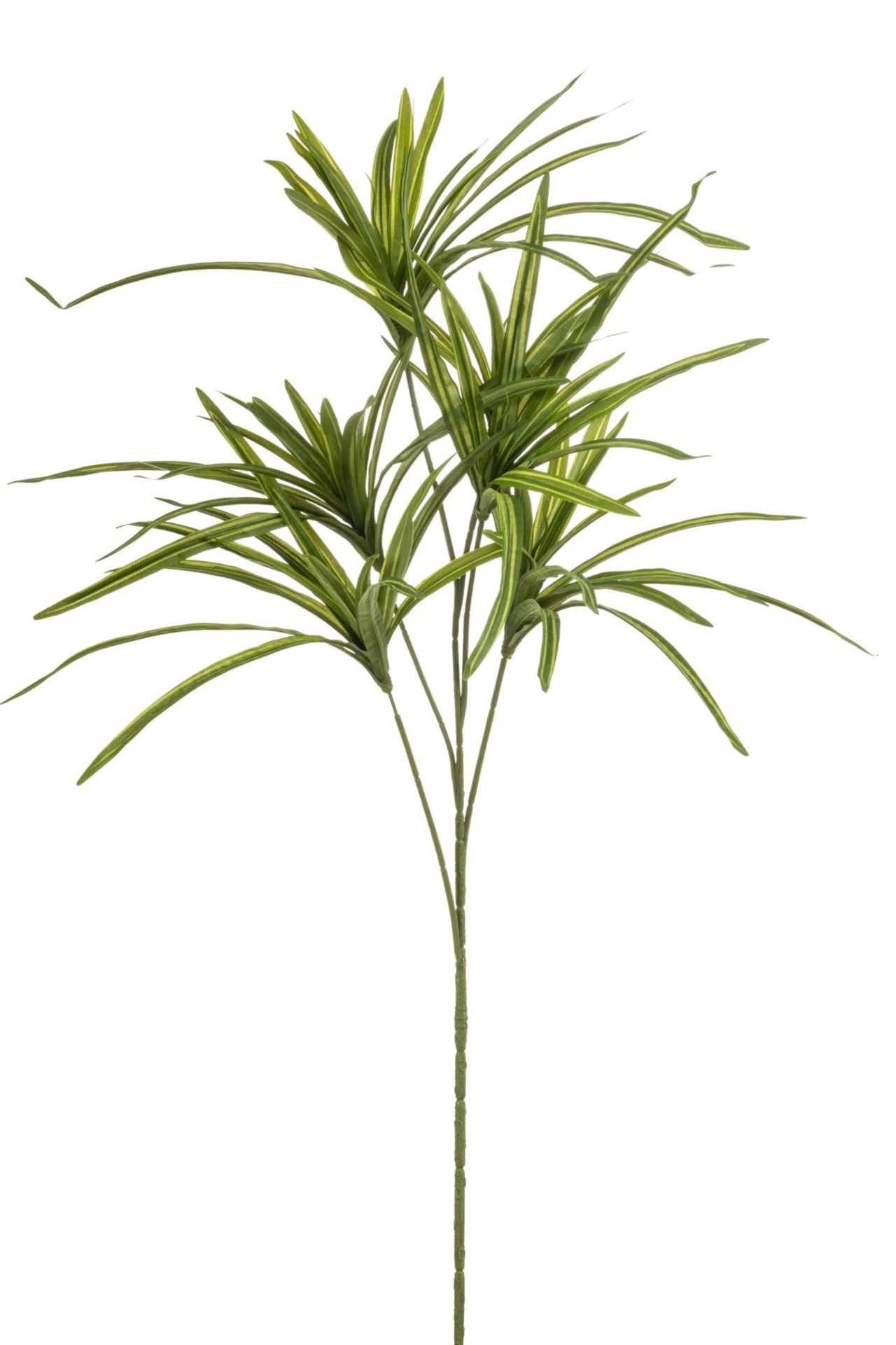 Dracaena spray green 90cm