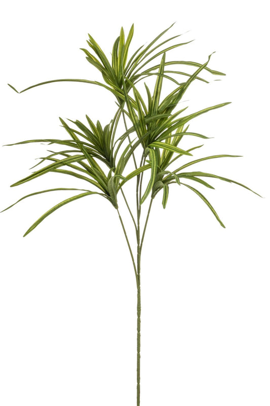 Dracaena spray green 90cm