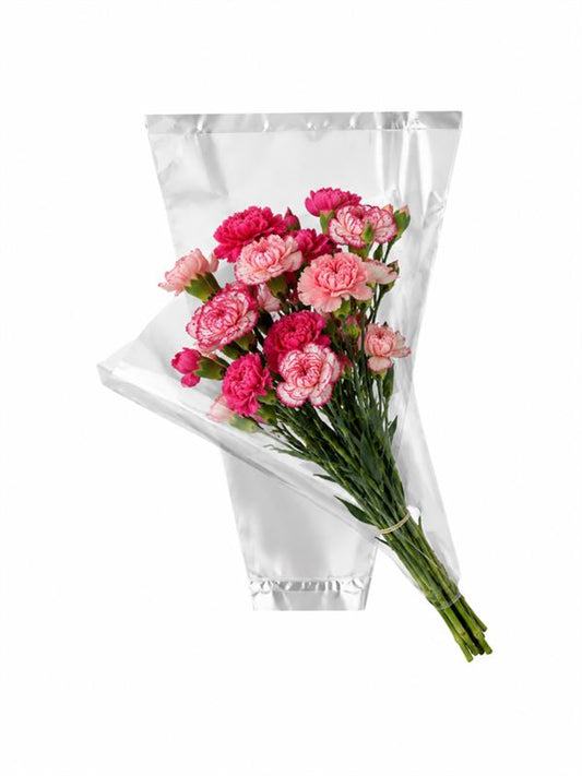 Hoes 48x35x10cm.OPP35 transp.50st.
