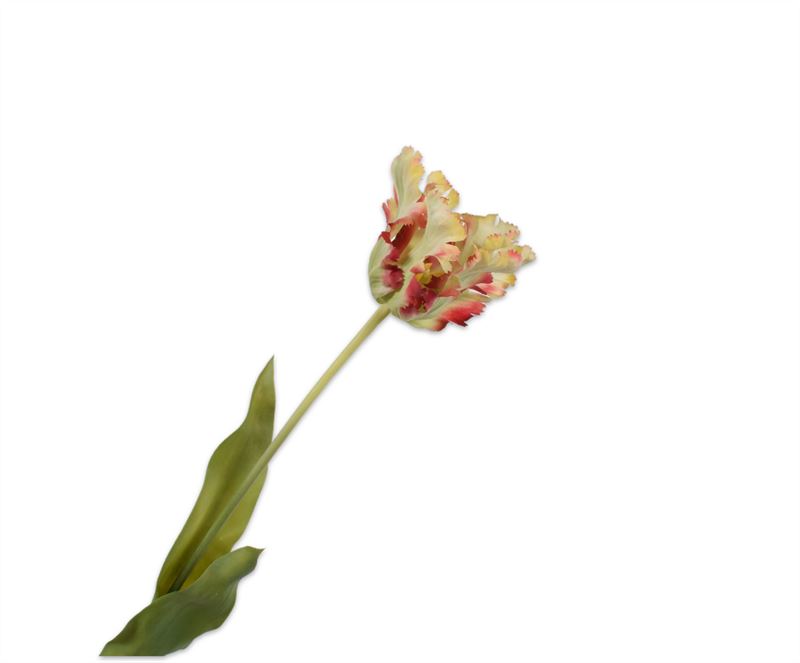 TULP STEEL RD/GRN RT 71 cm