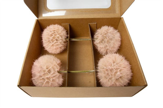 Dandelion o/st. licht roze