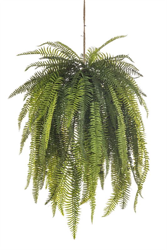 Nephrolepis hanging deco 140cm