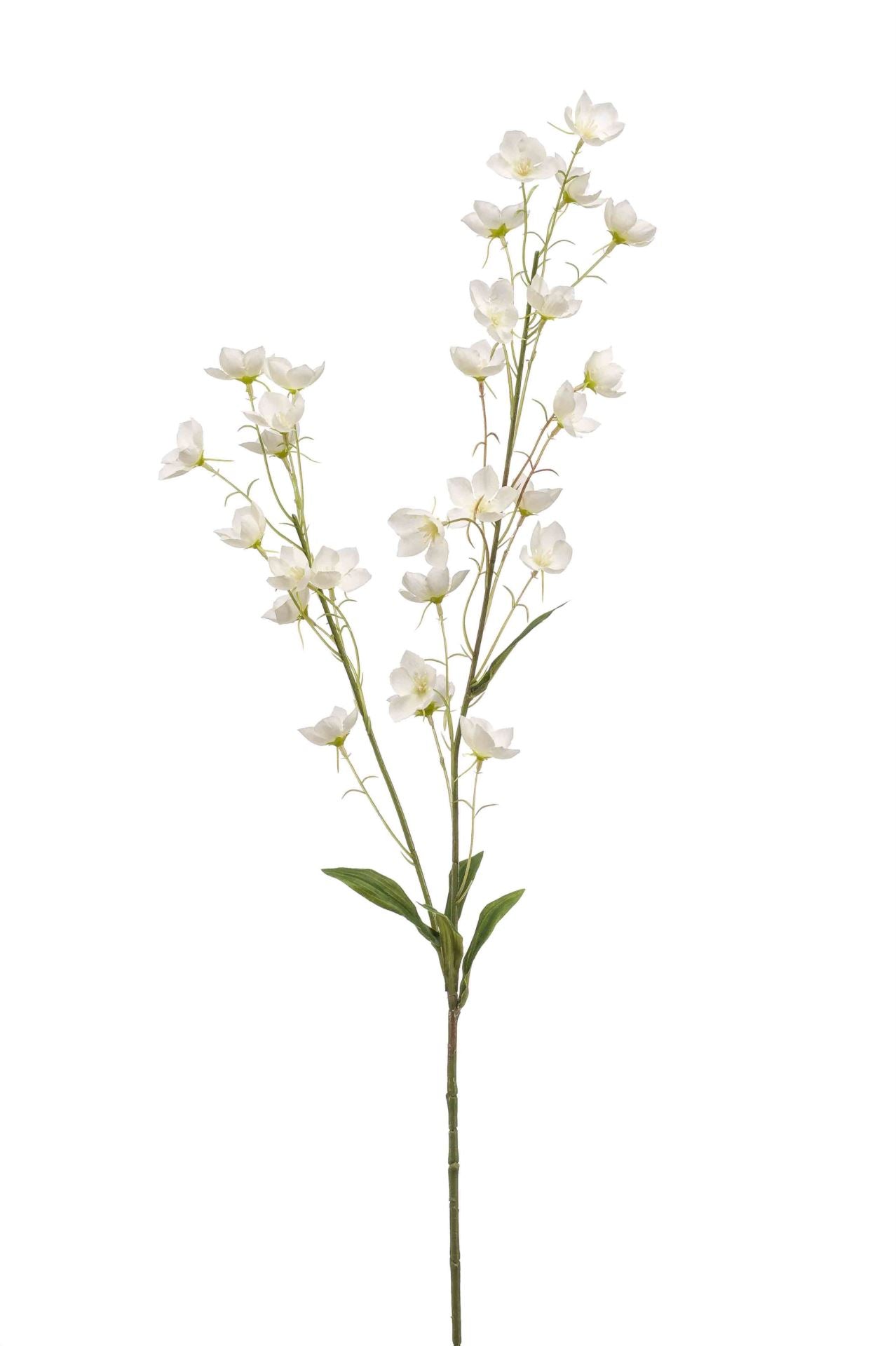 Buttercup spray cream 85cm