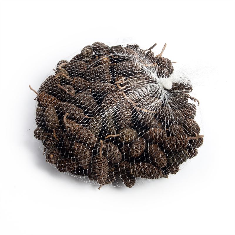 Birch pine groot net naturel