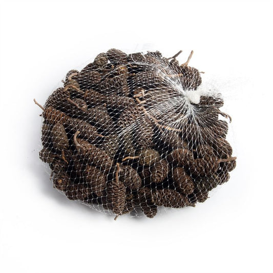 Birch pine groot net naturel