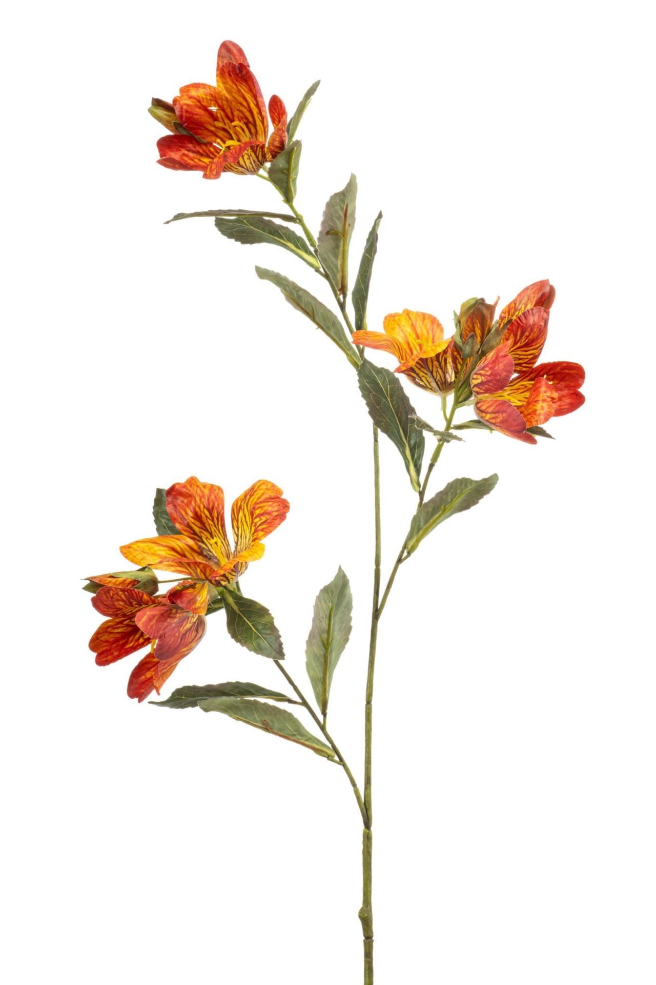 Bauhinia spray orange 90cm