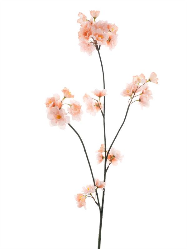Prunus Malaga spray lt peach 84cm
