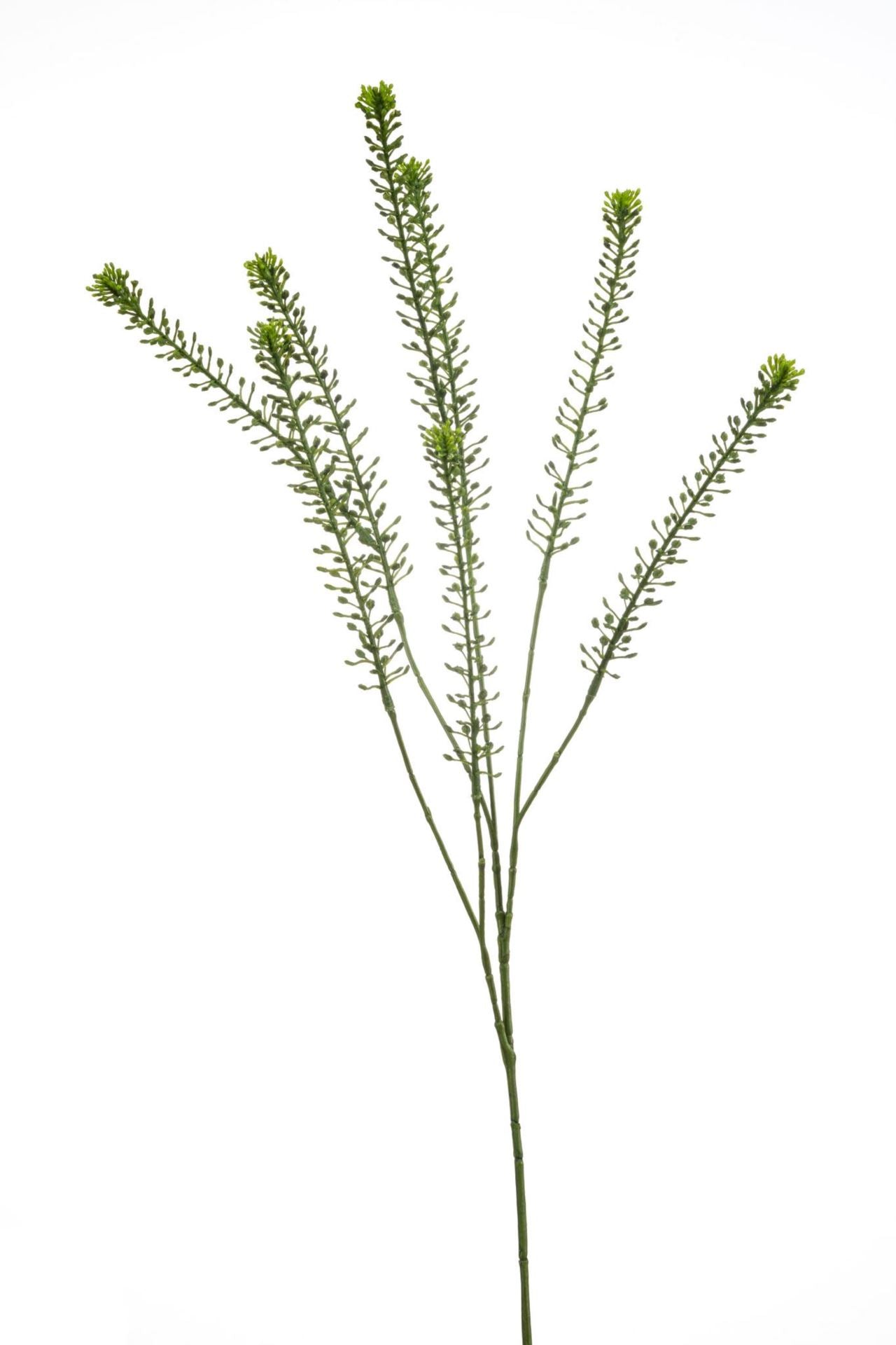 Lepidium spray green 85cm