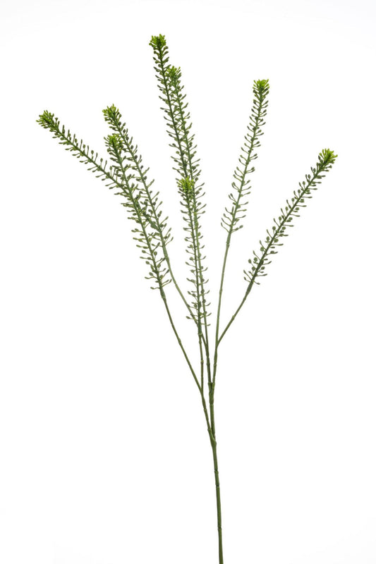 Lepidium spray green 85cm