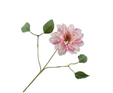 CLEMATIS TAK CR/ROZ