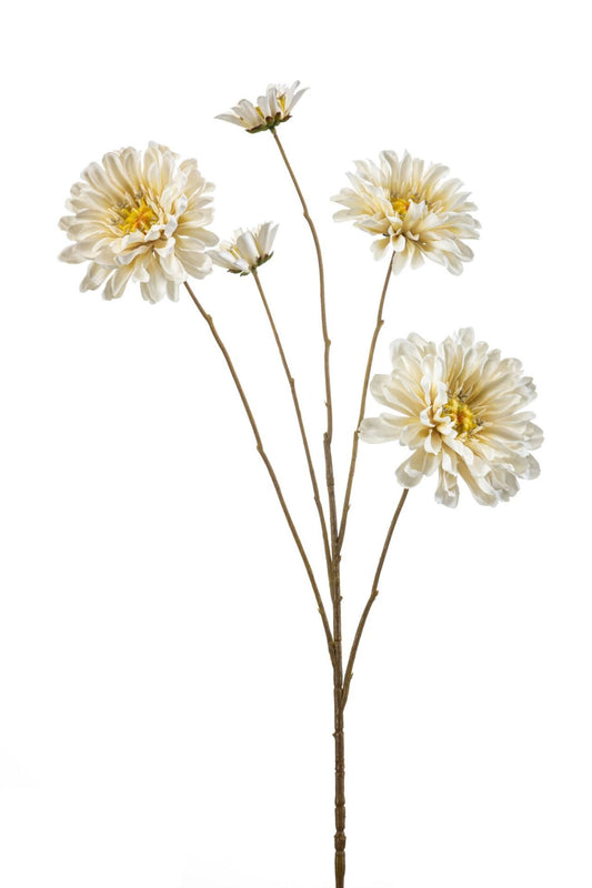 Zinnia spray cream 90cm