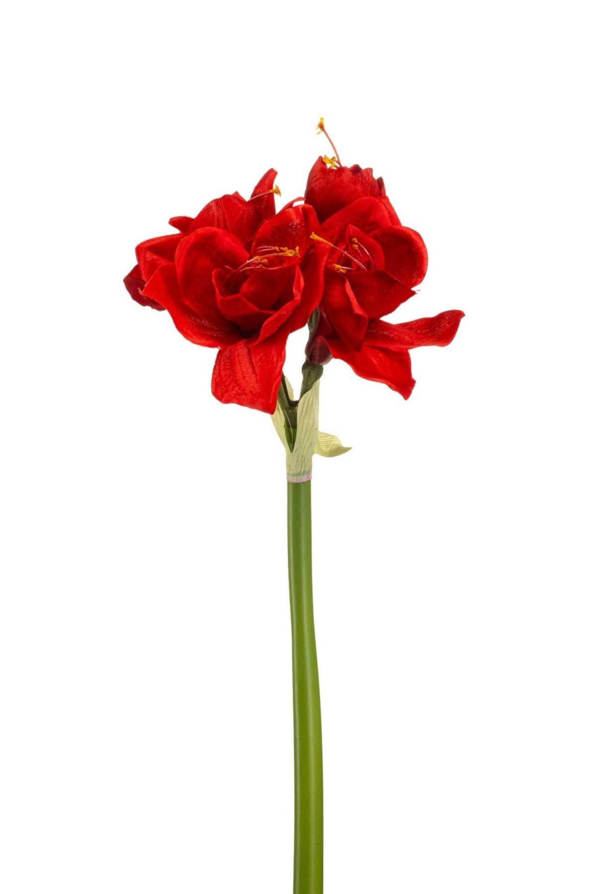 Amaryllis spray red 72cm