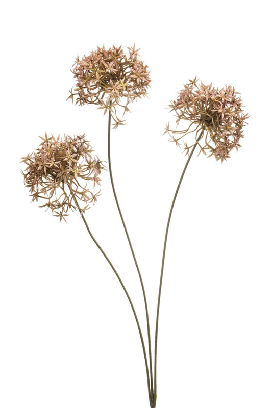 Allium spray old pink 62cm