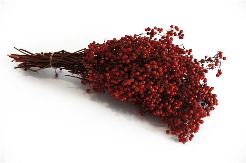 Pepper berry rood