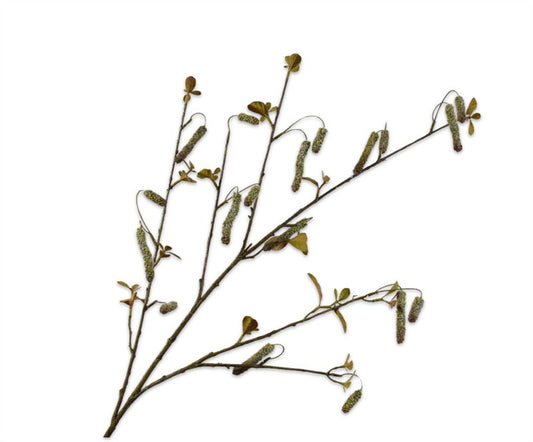 ALNUS TAK GROEN  113 cm