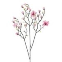 Magnolia branch Osaka pink 123cm 