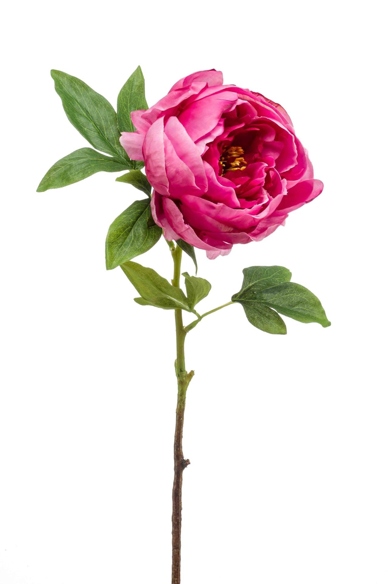 Peony spray beauty 63cm