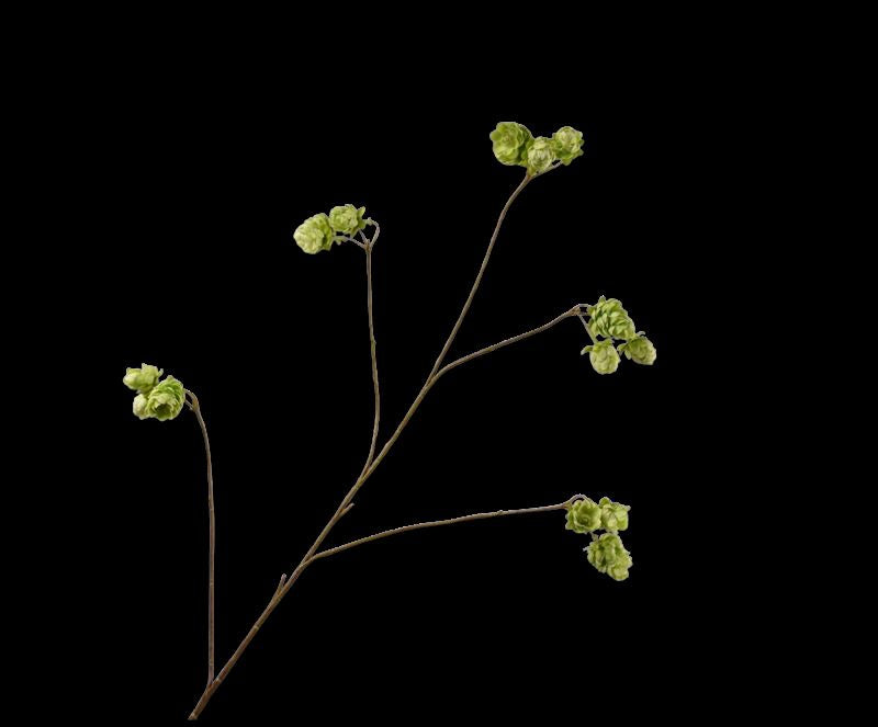 HOP TAK GROEN  108 cm
