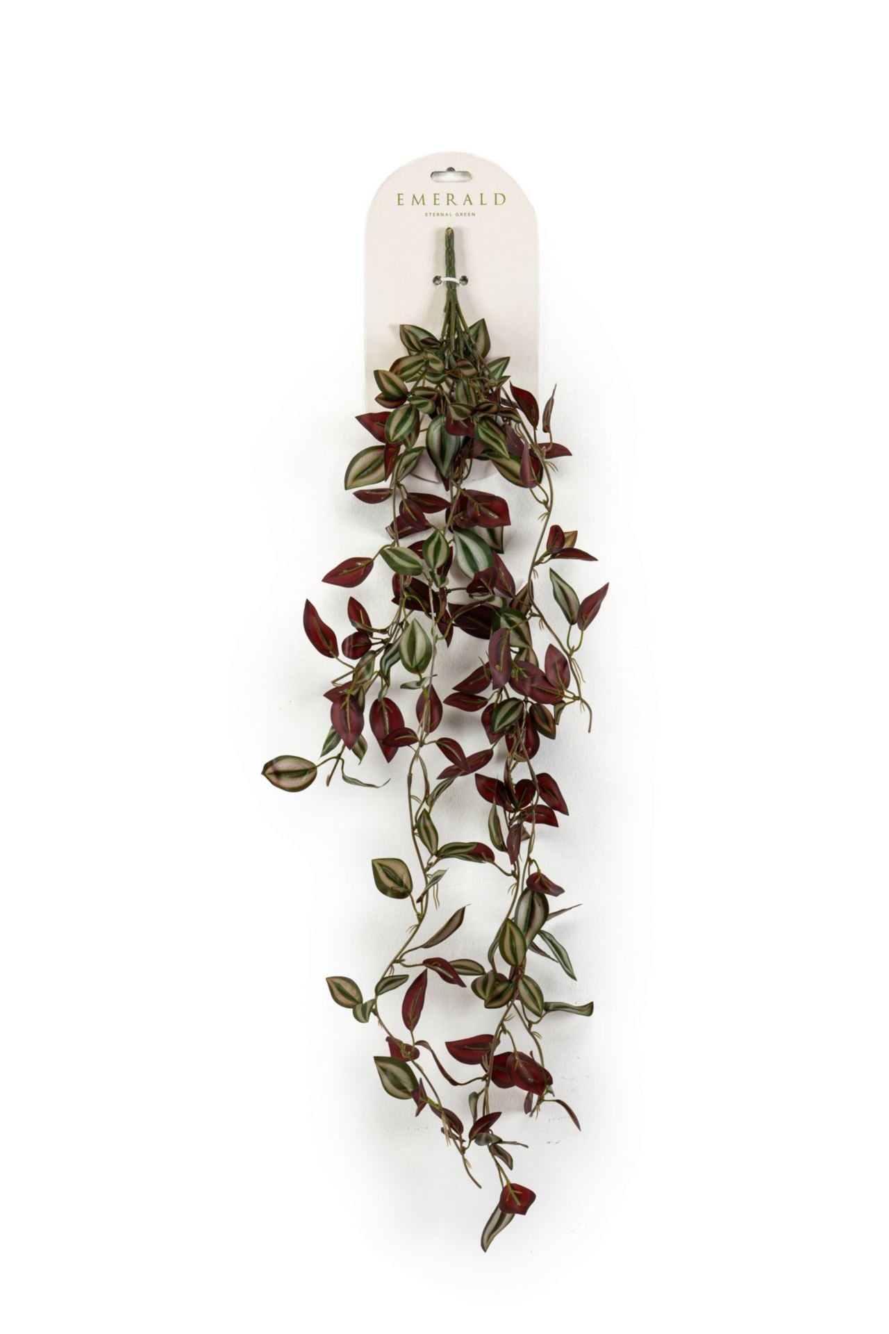 Tradescantia hangende struik grn/bu