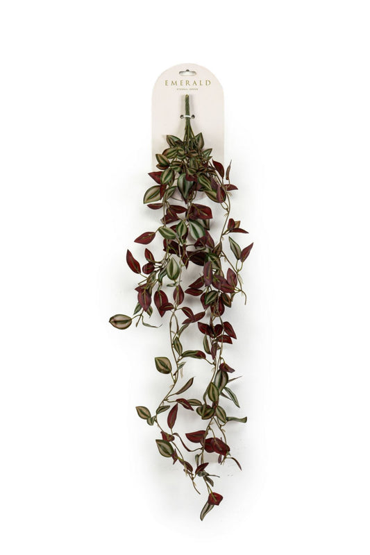 Tradescantia hangende struik grn/bu