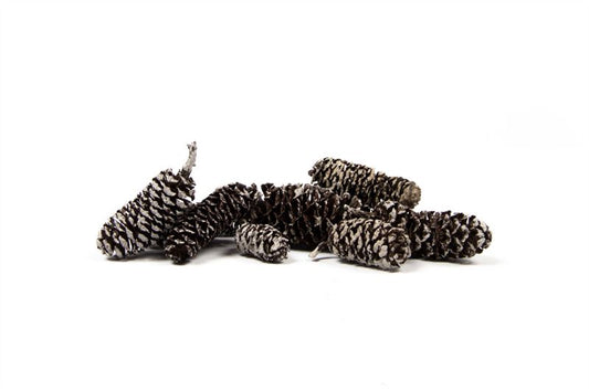Birch pine stone washed wit500 gr