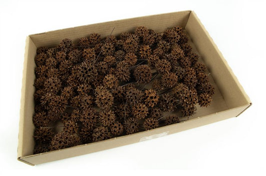Amberbaum o/dr. Naturel100 st