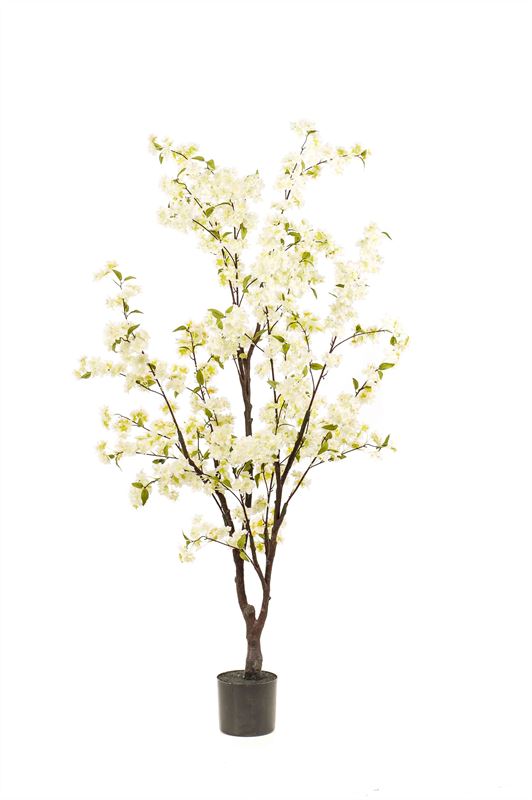 Cherry blossom tree 175cm wit 2/ds