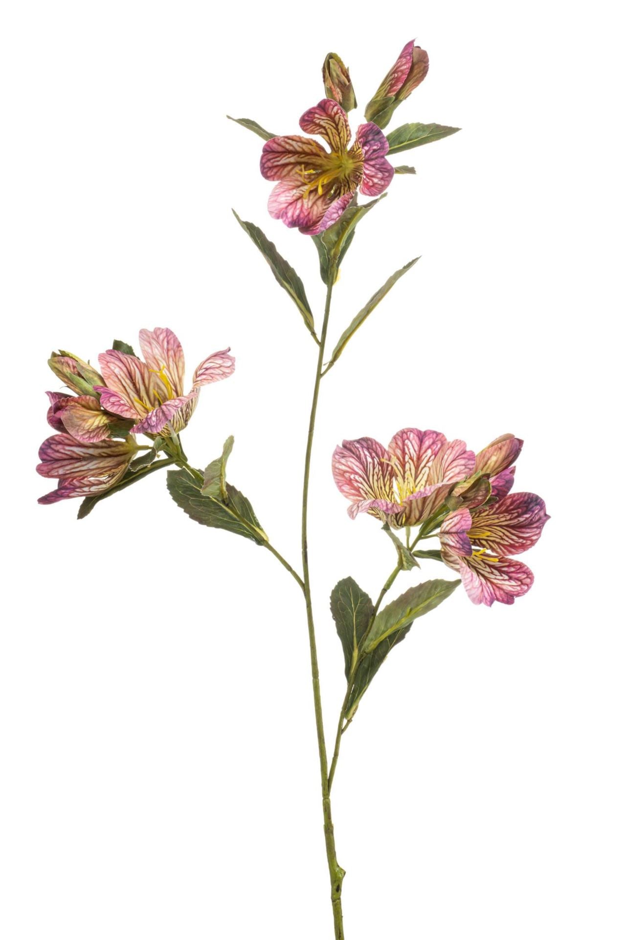 Bauhinia spray purple 90cm
