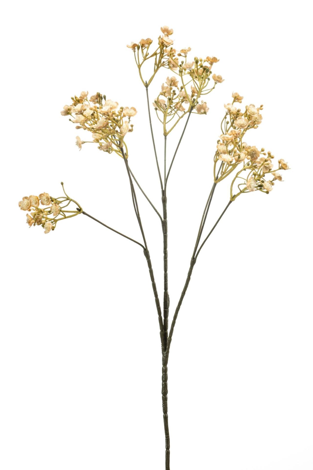 Gypsophila spray beige 68cm