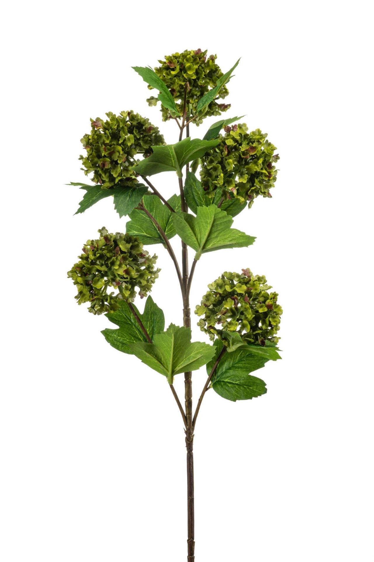 Viburnum spray green 77cm