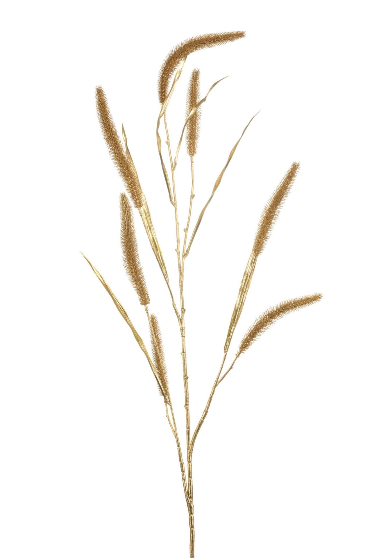 Pennisetum grass spray gold 117cm