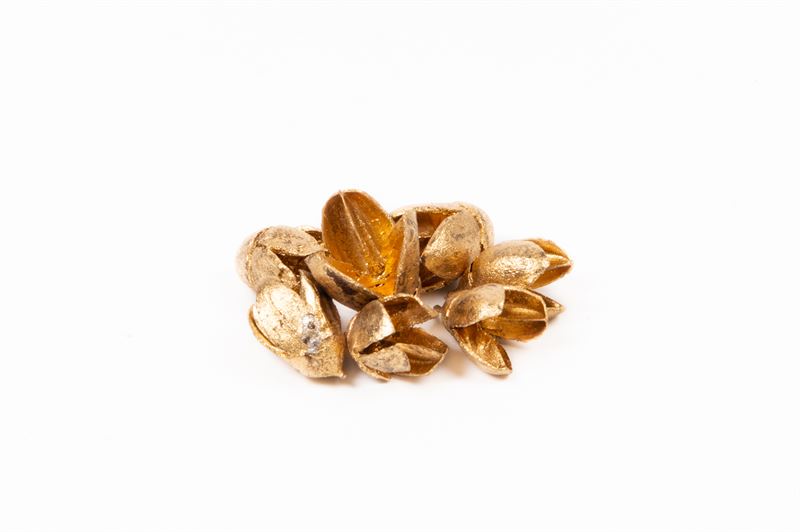 Bakuli goud