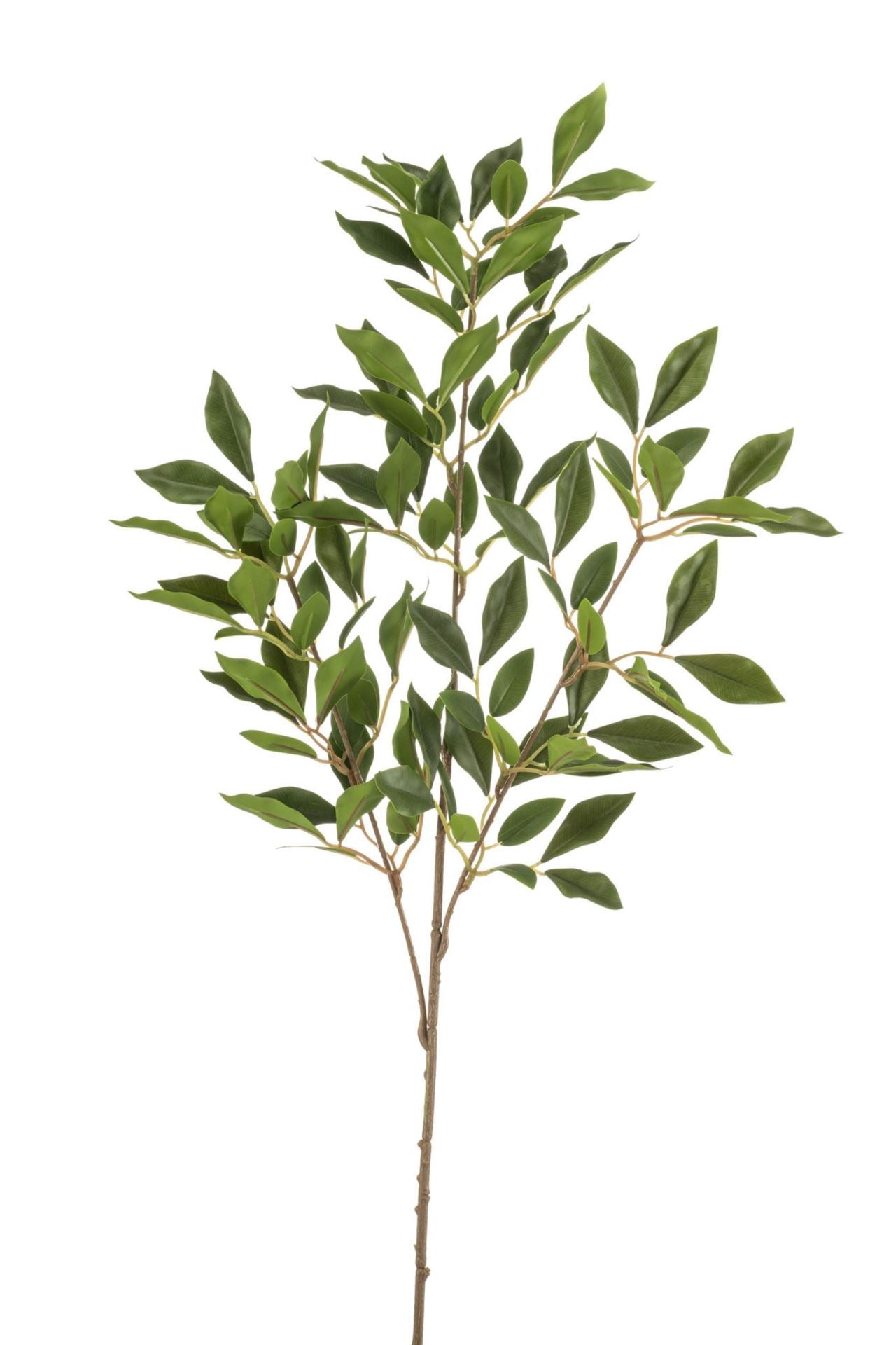 Ficus spray x3 green 85cm