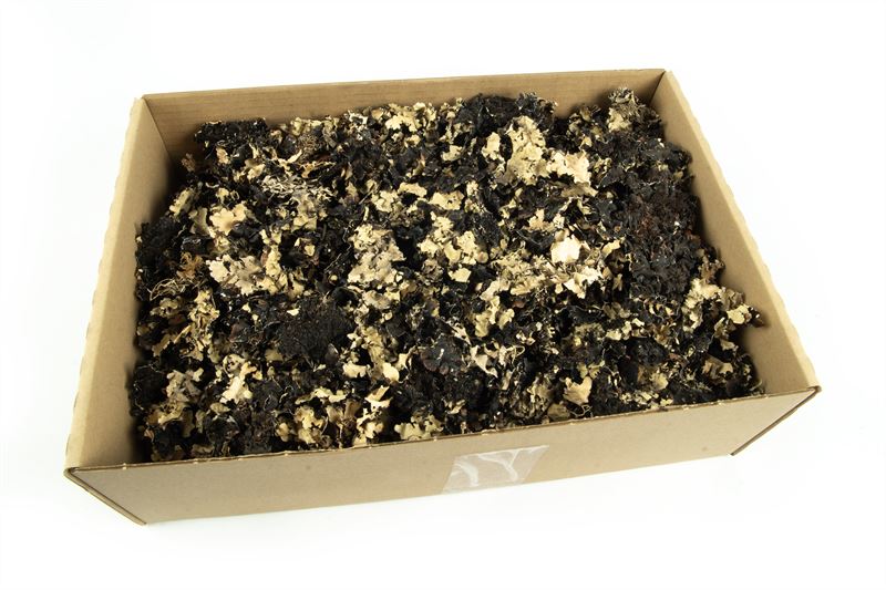 Musgo naturel250 gr
