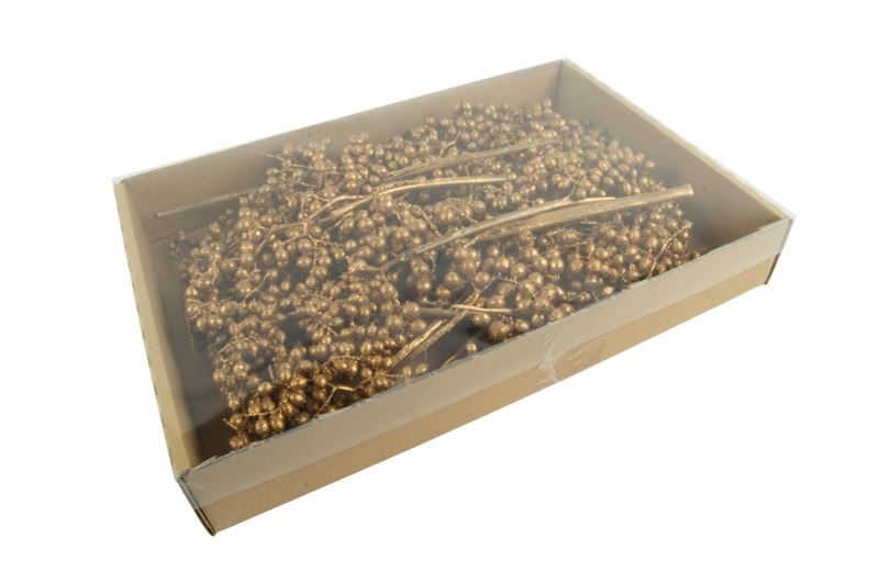 Canella goud25 st