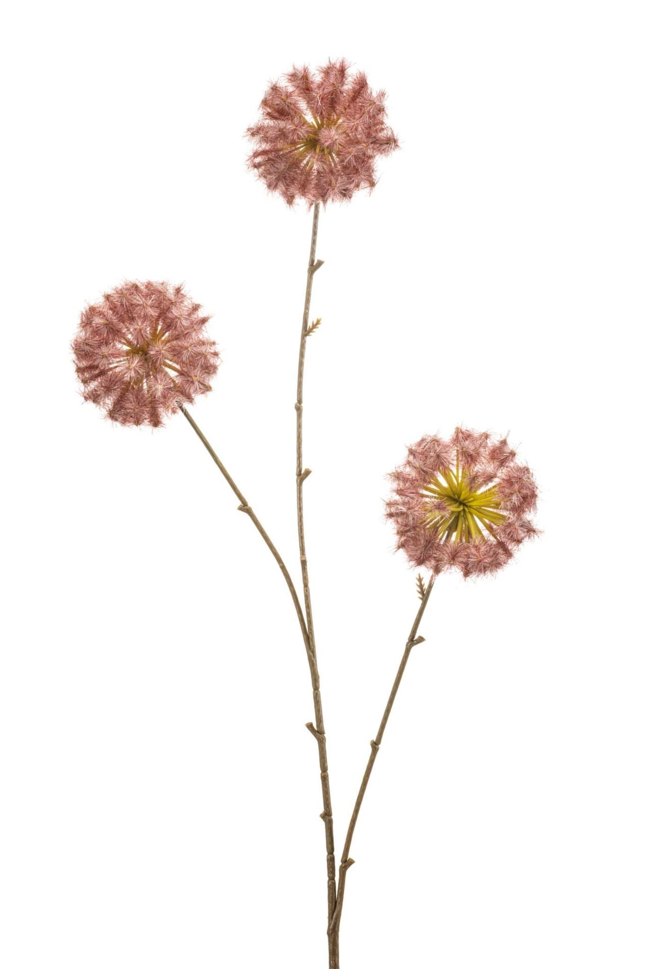 Dandelion spray pink 80cm