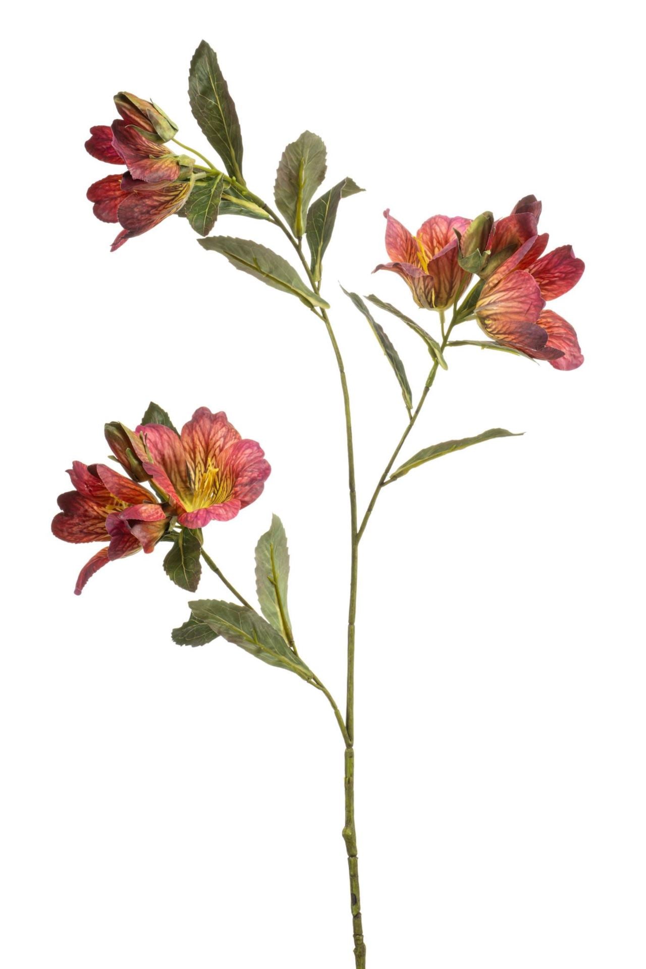 Bauhinia spray mauve 90cm