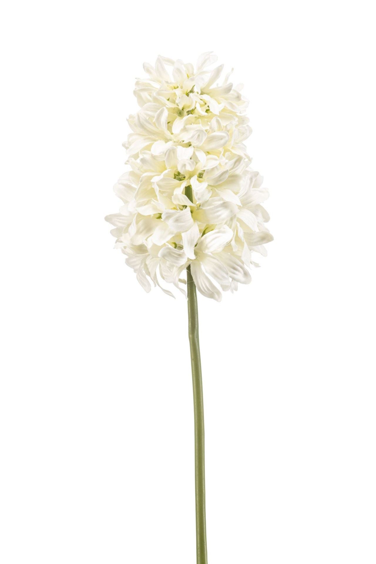Hyacinthus spray cream 48cm