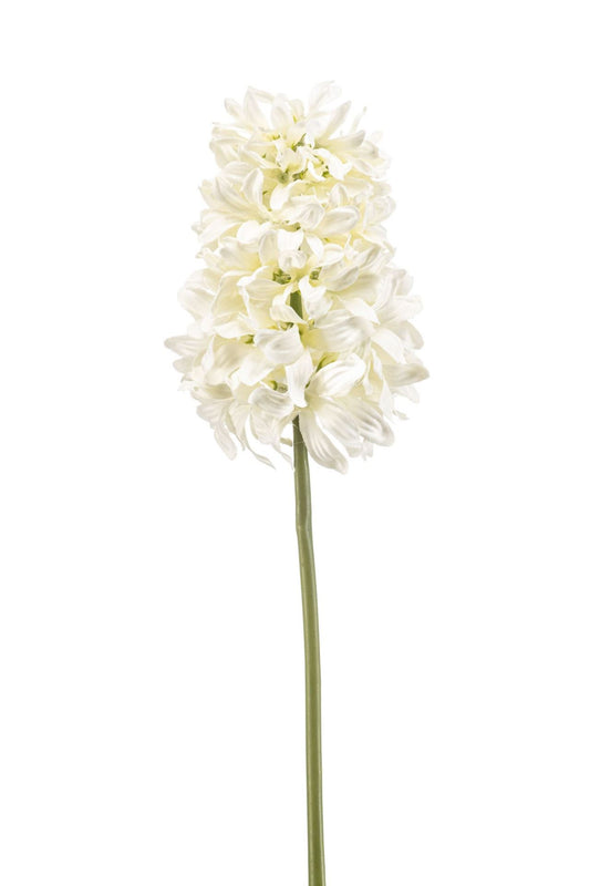 Hyacinthus spray cream 48cm